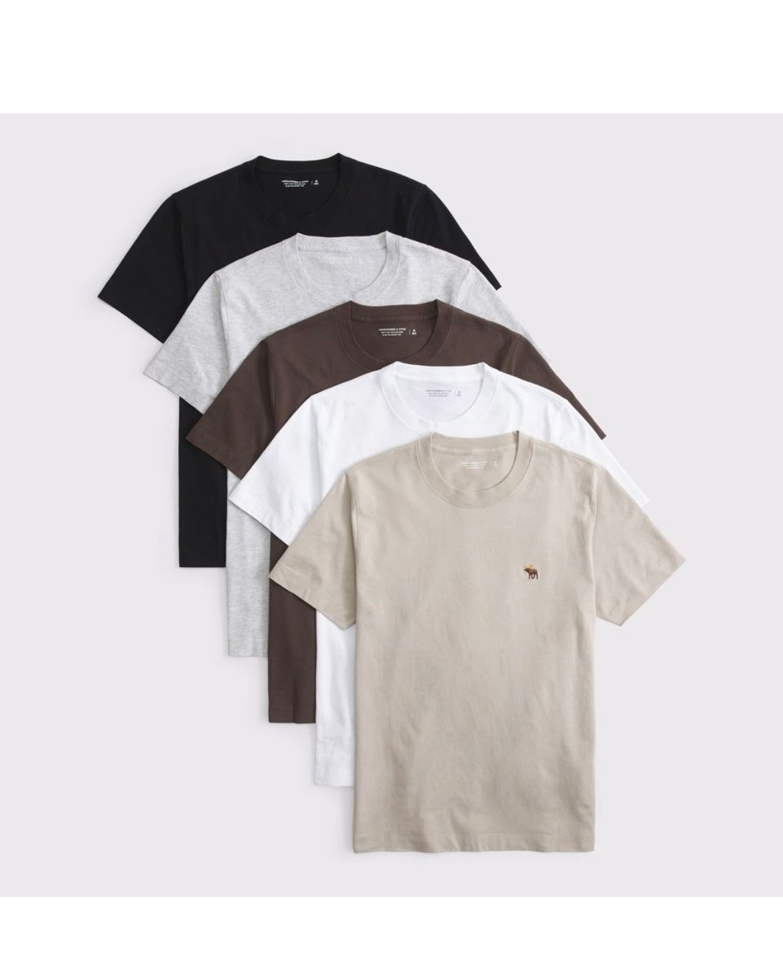 Pack de 5 t-shirts ras du cou à emblème